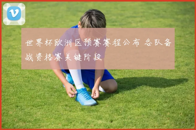世界杯欧洲区预赛赛程公布 各队备战资格赛关键阶段